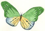 alt= "butterfly as a symbol of transformation"